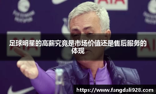 足球明星的高薪究竟是市场价值还是售后服务的体现